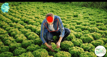 LEA-AGRICULTURE